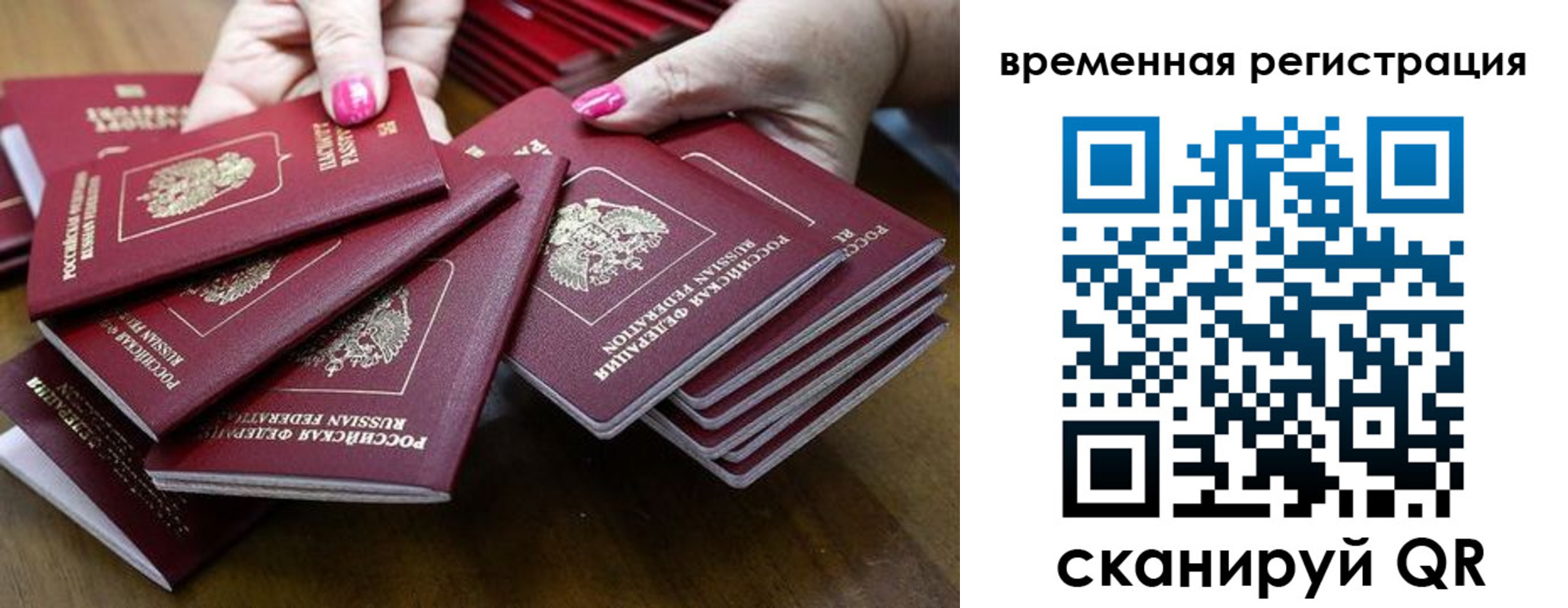временная регистрация поиск в Торжоке